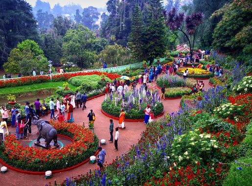 File:Botanical Garden ooty.jpg - Wikimedia Commons