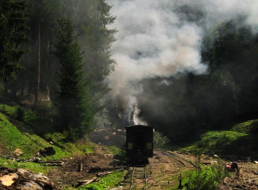 Fișier:Camil Iamandescu-Forrest Narrow Gauge Railway, Ihoasa, Vaser Valley  Railway.jpg - Wikipedia