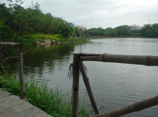 దస్త్రం:Lotus Pond 2.jpg - వికీపీడియా