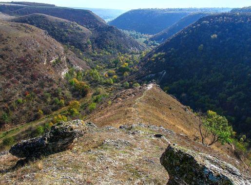 File:Defileul Tipova Rezina (4).jpg - Wikimedia Commons