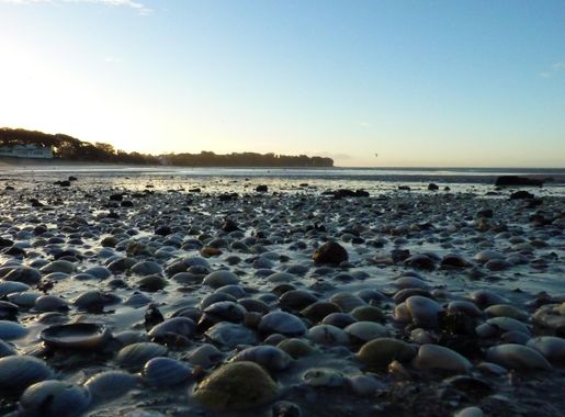 File:Auckland, Devonport, Cheltenham Beach (7).JPG - Wikimedia Commons