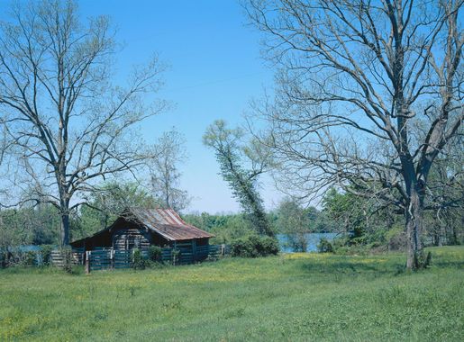 File:Log house in the Cane River Creole National Historical Park.jpg -  Wikimedia Commons