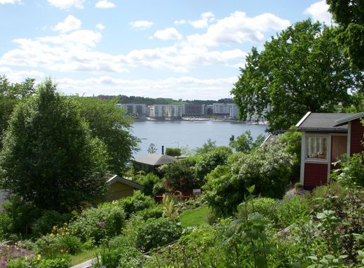 File:Tantolunden koloni 2010b.jpg - Wikimedia Commons