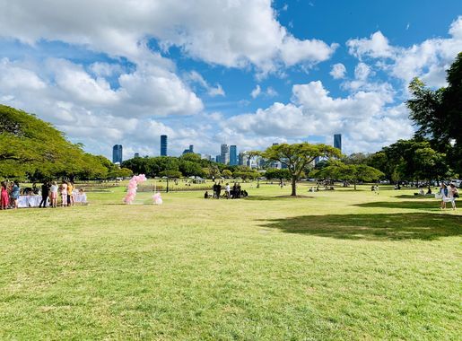 File:New Farm Park with Brisbane City in the distance, Queensland, 2020,  01.jpg - Wikimedia Commons
