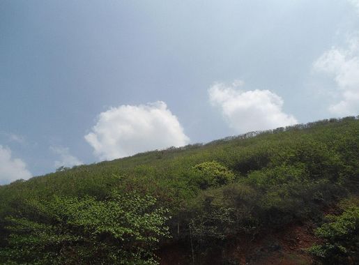File:Partial view of Kailasagiri from Tenneti park in Visakhapatnam.JPG -  Wikimedia Commons