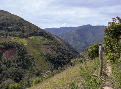 File:Yungas Bolivia 02.jpg - Wikimedia Commons