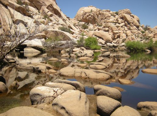 File:Joshua Tree National Park (221925237).jpeg - Wikimedia Commons
