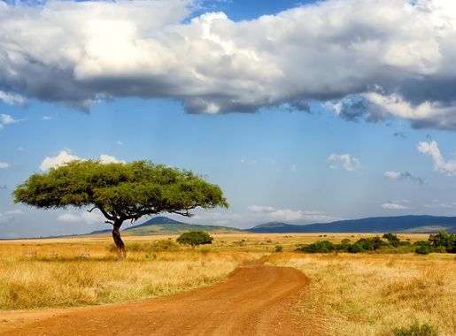 File:Masai Mara landscape.jpg - Wikimedia Commons
