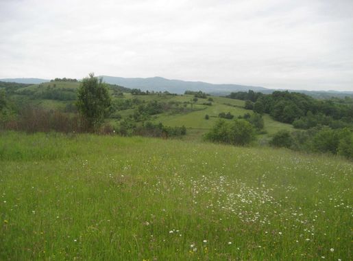 File:Zumberak3.JPG - Wikimedia Commons