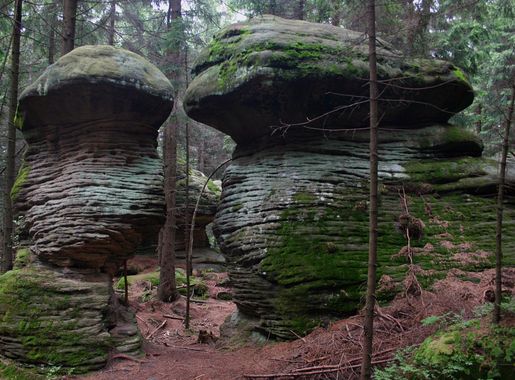 File:Góry Stołowe Skalne Grzyby6 26.07.2011 p.jpg - Wikimedia Commons