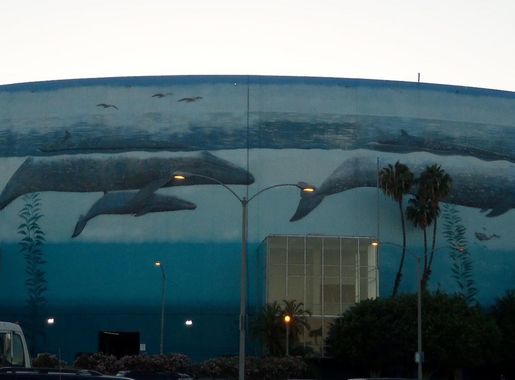 File:Long Beach Convention and Entertainment Center - panoramio  (cropped).jpg - Wikimedia Commons
