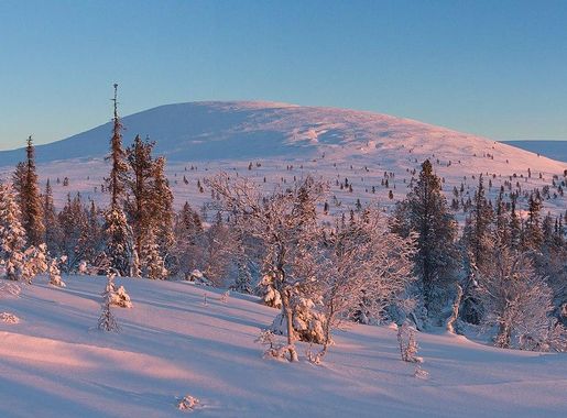 File:Palkaskero in Muonio, Finland, 2019 January.jpg - Wikimedia Commons