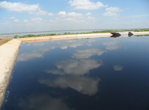 Waste stabilization pond - Wikipedia
