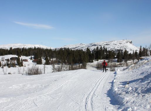 File:Skeikampen 01.JPG - Wikimedia Commons