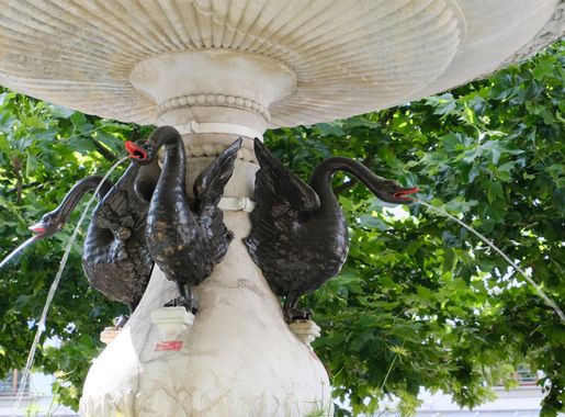 File:Fontaine @ Place du Marché @ Carouge (51319806401).jpg - Wikimedia  Commons