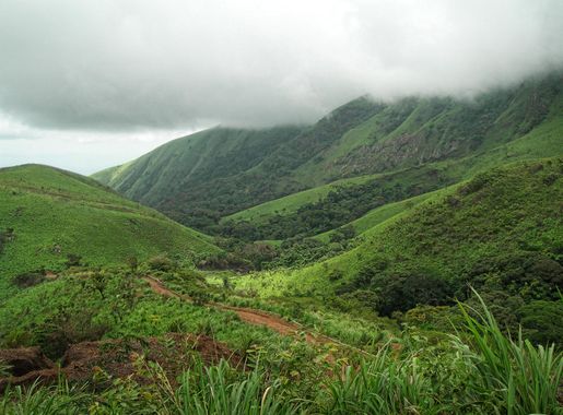 File:Mount Nimba Strict Nature Reserve-123989.jpg - Wikimedia Commons