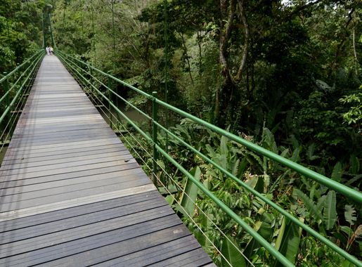 File:Bridge Puerto Viejo, Heredia, Costa Rica.jpg - Wikimedia Commons