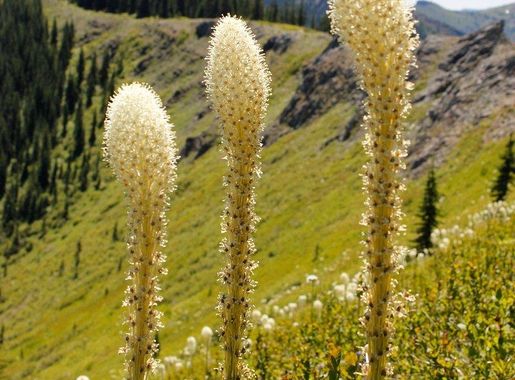 Lake Serene-Mt Baker Snoqualmie Mt. | Free Photo - rawpixel