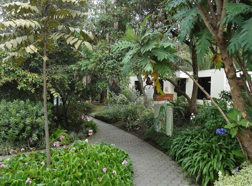 File:Jardín Botánico de Quito pic.01 Photography by David Adam Kess.jpg -  Wikimedia Commons