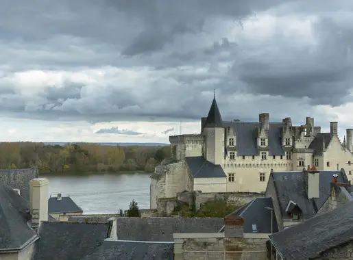 Limousin photo 3