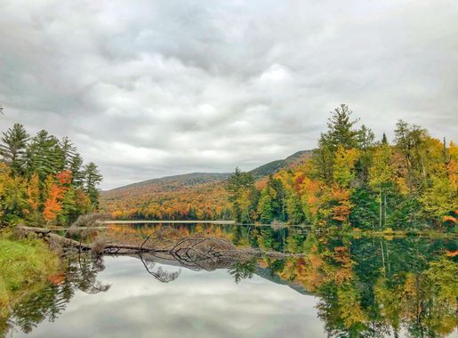 Beautiful autumn lake landscape in Vermont image - Free stock photo -  Public Domain photo - CC0 Images