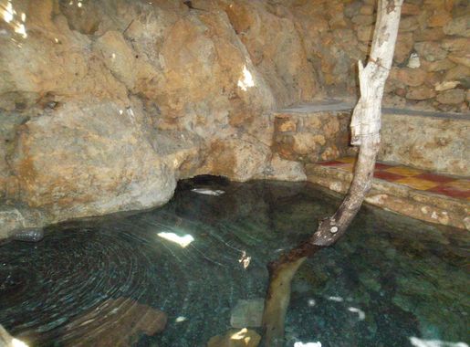 File:Ichkeul national park tunisia 15.JPG - Wikimedia Commons