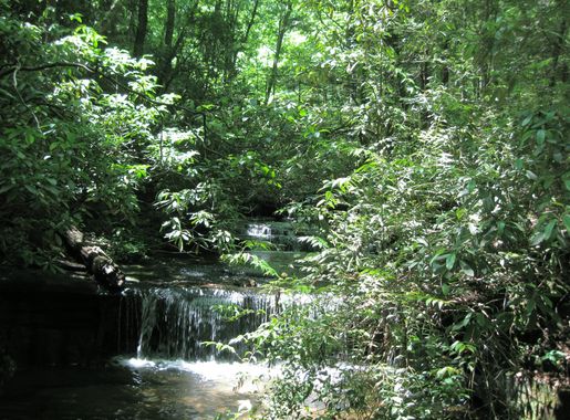 File:WaterFallsTableRockStatePark.jpg - Wikimedia Commons