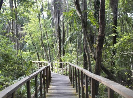 File:A pathway in the Lekki Convention Center.jpg - Wikimedia Commons