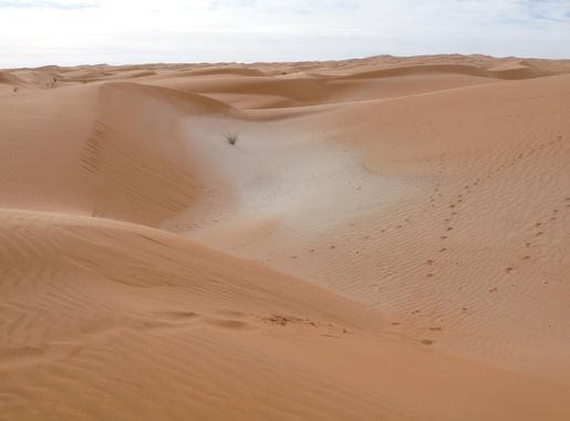 File:Adrar sands.JPG - Wikipedia