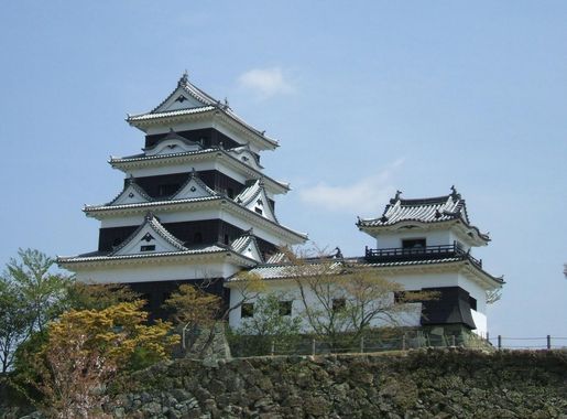 ファイル:Ozu castle from west.JPG - Wikipedia