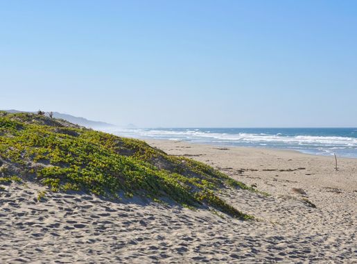 Celebrating community: what it means to walk along Surf Beach in 2020 >  Vandenberg Space Force Base > Article Display