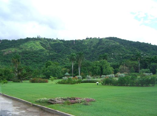 File:Hope Botanical Gardens, Jamaica.jpg - Wikimedia Commons