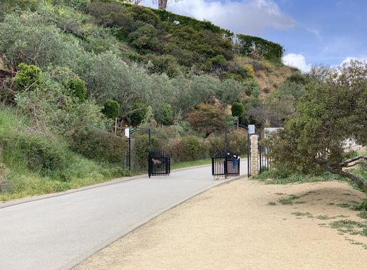 File:Paved Section of Runyon Canyon Road In Runyon Canyon Park.jpg -  Wikimedia Commons