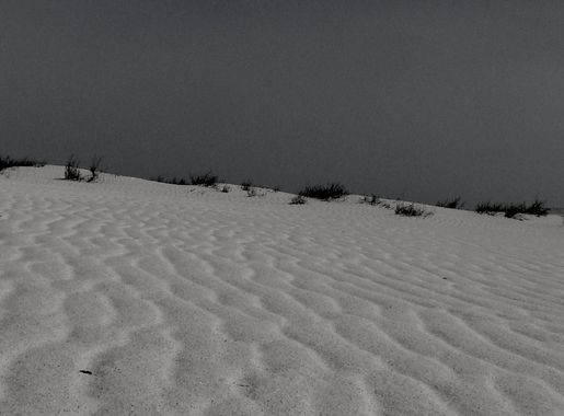 File:010-QatarSharkDesert.jpg - Wikimedia Commons