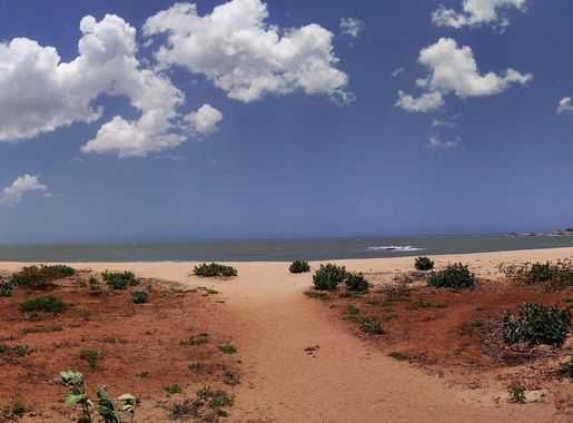 File:Yala national park beach.jpg - Wikimedia Commons