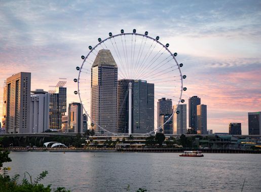 File:Dikaiosp 210819 6963.jpg - Wikimedia Commons