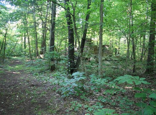 File:Trees surround a historic housing foundation in the Mark Twain  National Forest in Washington County, Missouri  (6454d9b7-273a-49a9-8dfe-79ea5fa2bbd0).JPG - Wikimedia Commons