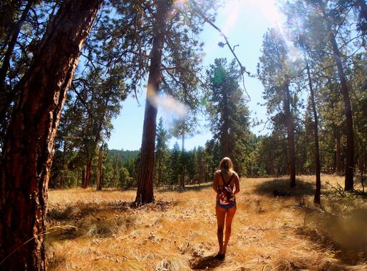 Wild Horse Island - Wikipedia