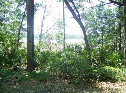 File:ONF Clearwater Lake01.jpg - Wikimedia Commons