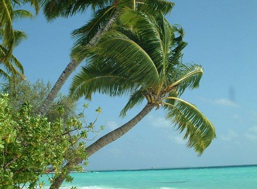 Long Bay Beach, Turks and | Free Photo - rawpixel