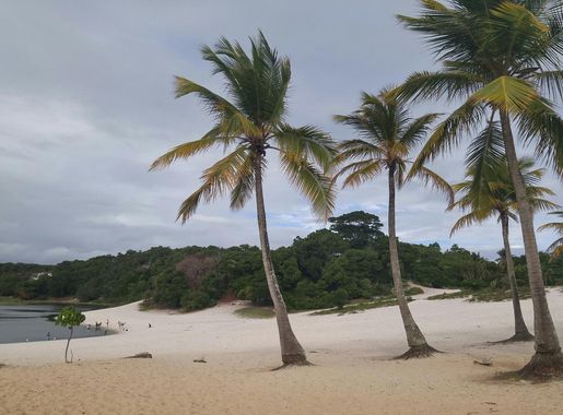 File:Lagoa do Abaeté - Salvador-Ba-Brasil.jpg - Wikimedia Commons