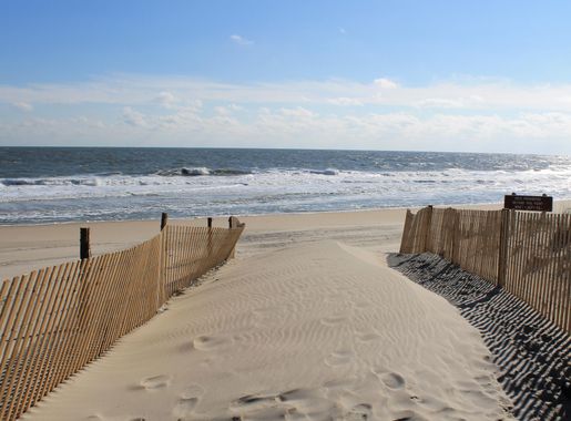 Fenwick Island State Park - Wikipedia