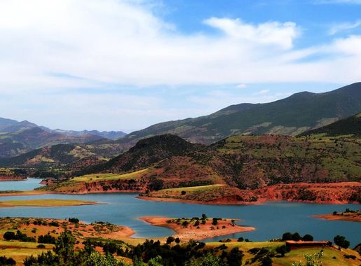 User:John Cummings/exhibition/natural - Wikimedia Commons