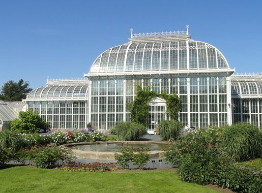 File:Glasshouses of Kaisaniemi Botanical Garden - DSC03590.JPG - Wikimedia  Commons