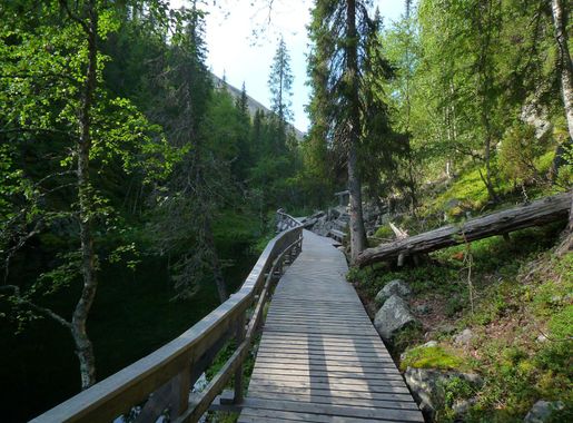 File:Pyhä-Luosto National Park (4866407113).jpg - Wikimedia Commons