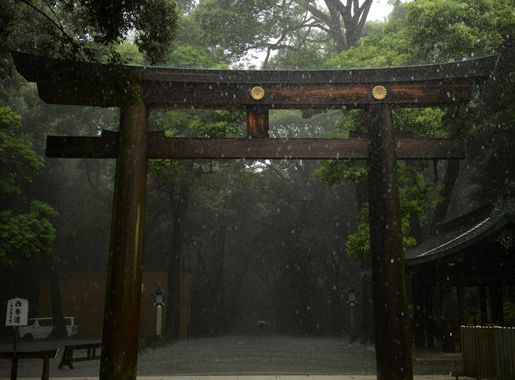 Revering the past: exploring Meiji Shrine > Yokota Air Base > Article  Display