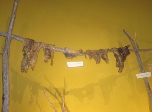 File:Drief buffalo meat, Garden City, KS IMG 5882.JPG - Wikimedia Commons