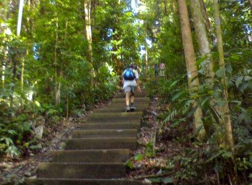 File:Bukit timah hill.jpg - Wikipedia