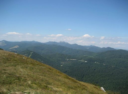File:Risnjak-Gorski Kotar.JPG - Wikipedia