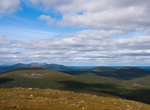 Pallas-Yllästunturi National Park - Wikipedia